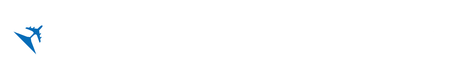 Blue Minimal Travel Business Logo